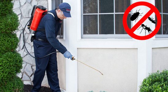Kocaali Karınca İlaçlama böcek ilaçlama ve haşere kontrolü — ilaclama-tr.com
